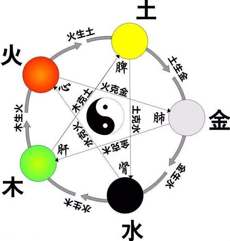 硨磲 五行|白砗磲的五行属什么？白砗磲五行属性是什么？